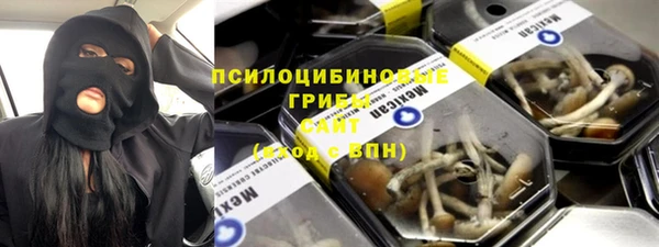 сатива Переславль-Залесский