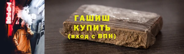 прущие грибы Ельня