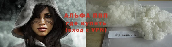 сатива Переславль-Залесский