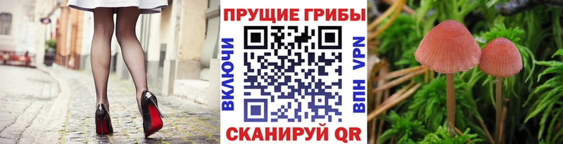 Псилоцибиновые грибы GOLDEN TEACHER  Армянск 